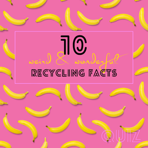 Recycling quiz